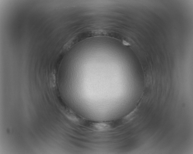 X0000062130183200512231448