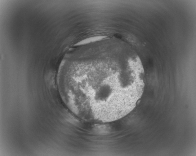 X0000062130185200512231448