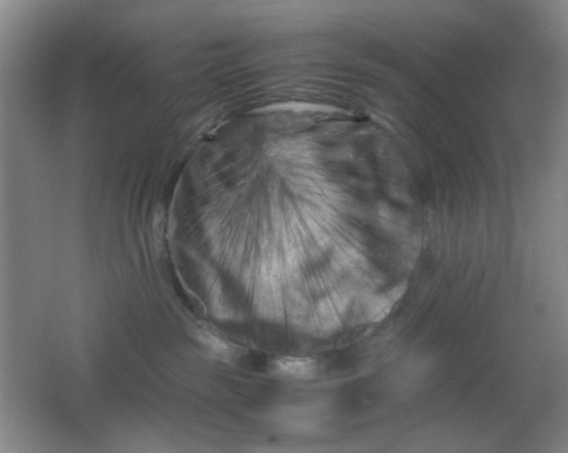 X0000062130189200512231448