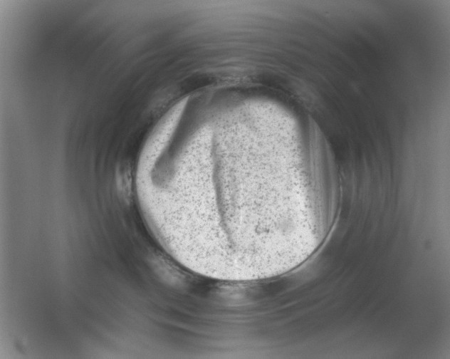 X0000062130190200512231448