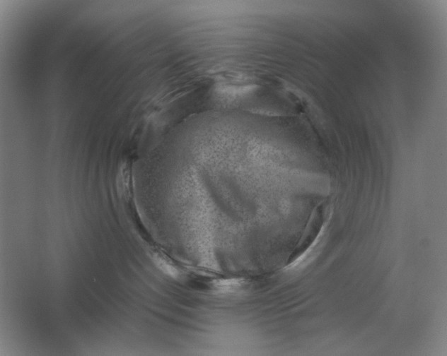 X0000062130192200512231448