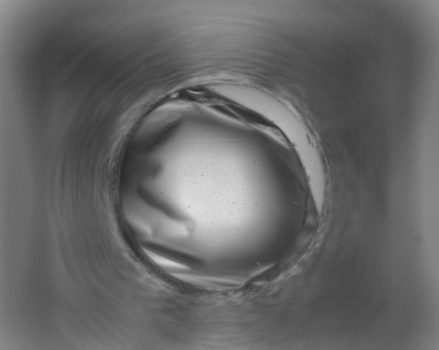 X0000062130193200512231447