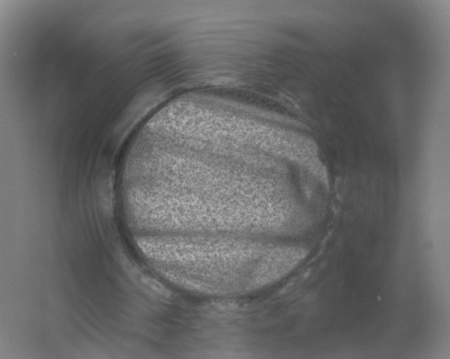 X0000062130194200512231447