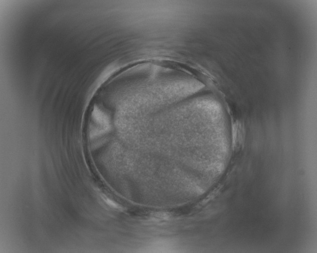 X0000062130195200512231447