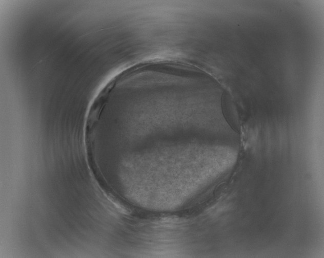 X0000062130196200512231447