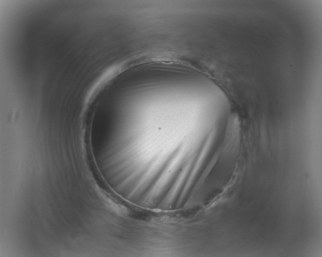 X0000062130197200512231447