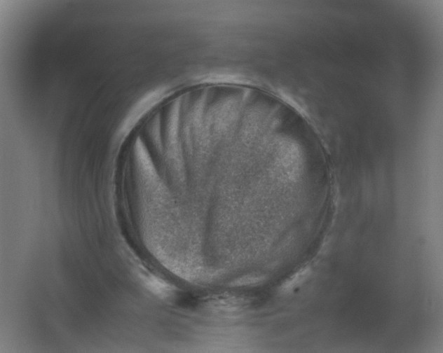 X0000062130199200512231447