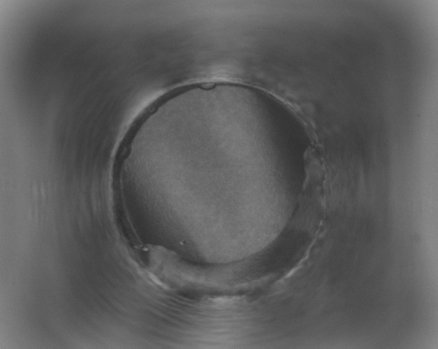 X0000062130200200512231447