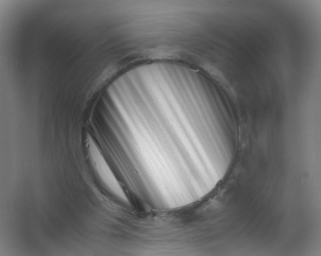 X0000062130201200512231447