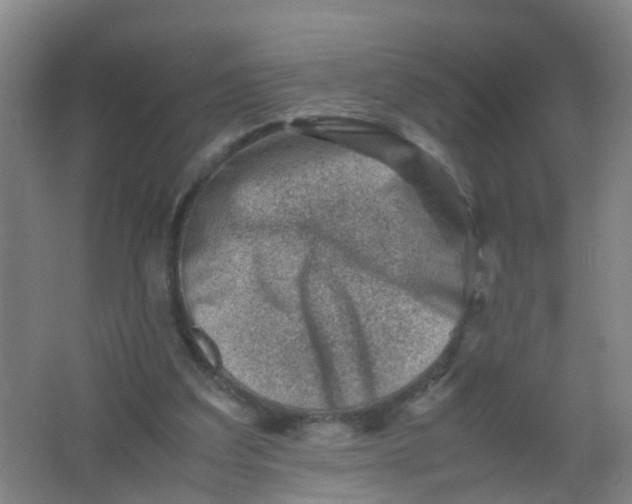 X0000062130203200512231447