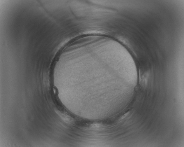 X0000062130204200512231447