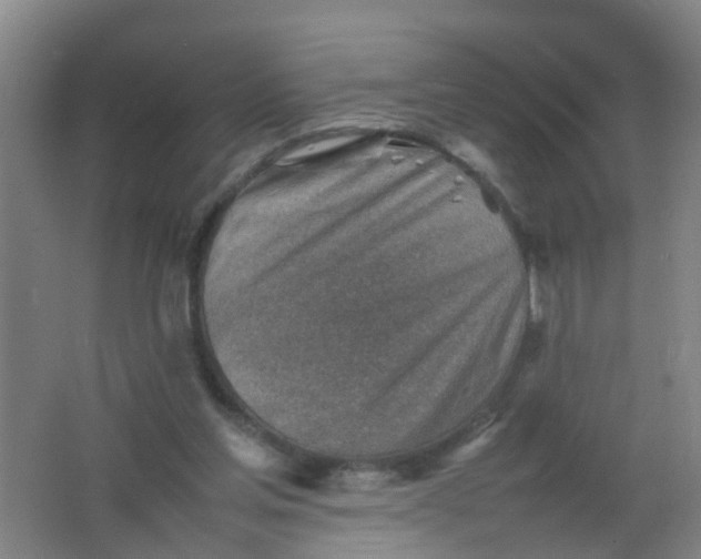 X0000062130205200512231447