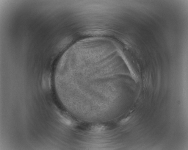 X0000062130206200512231447