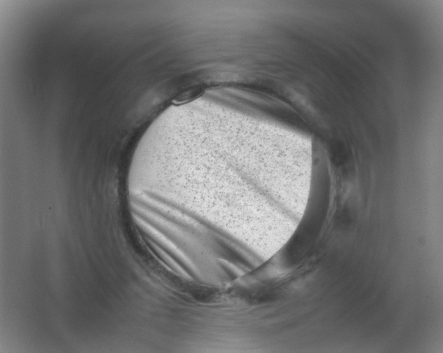 X0000062130207200512231447