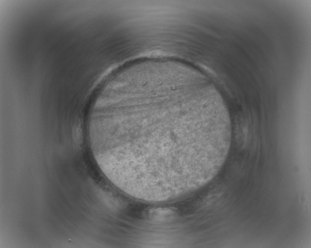 X0000062130208200512231447