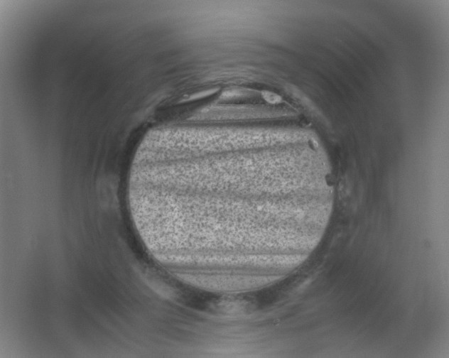 X0000062130209200512231447