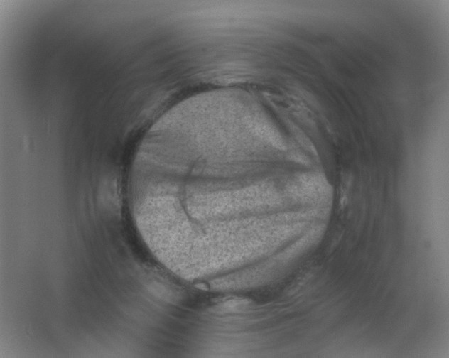 X0000062130210200512231447