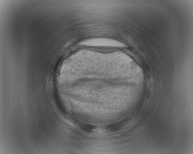 X0000062130211200512231447