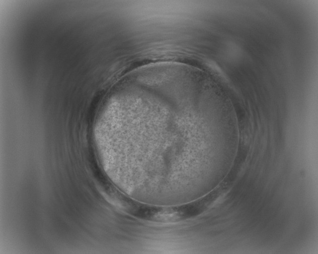 X0000062130213200512231447