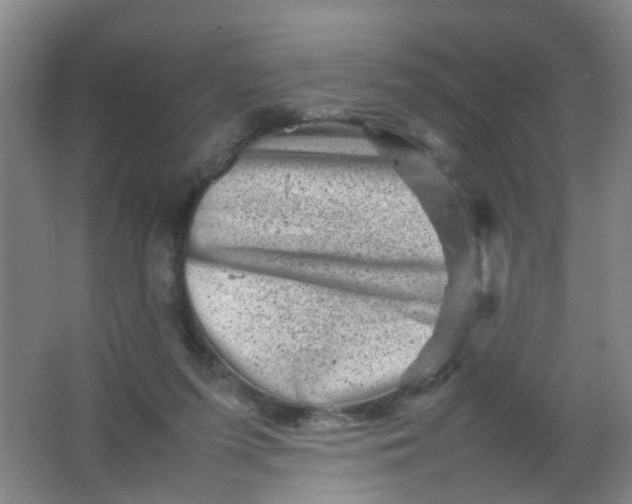 X0000062130215200512231447