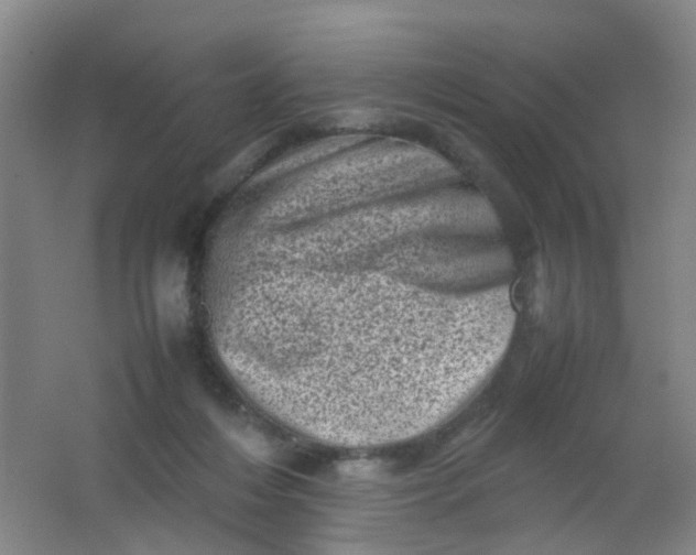 X0000062130216200512231447