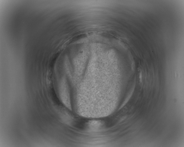 X0000062130218200512231447