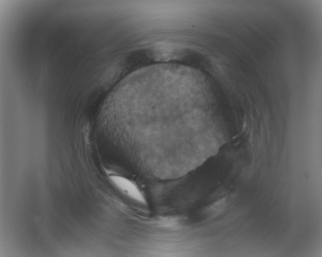 X0000062130219200512231447