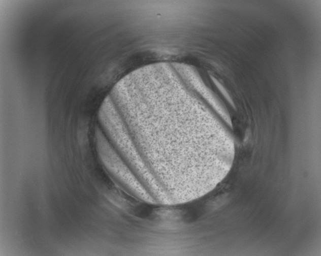 X0000062130221200512231447