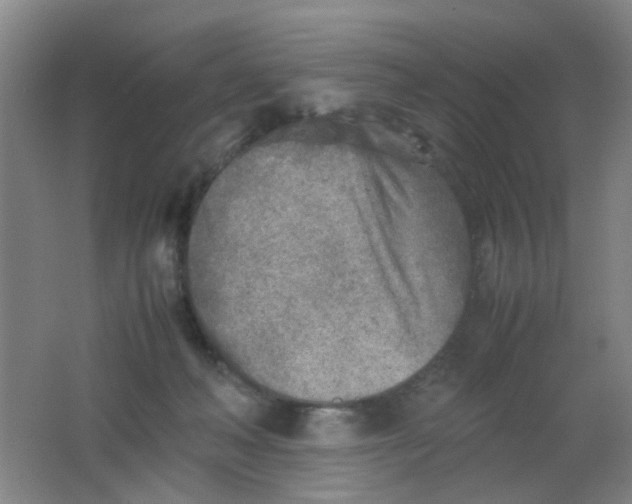 X0000062130222200512231447