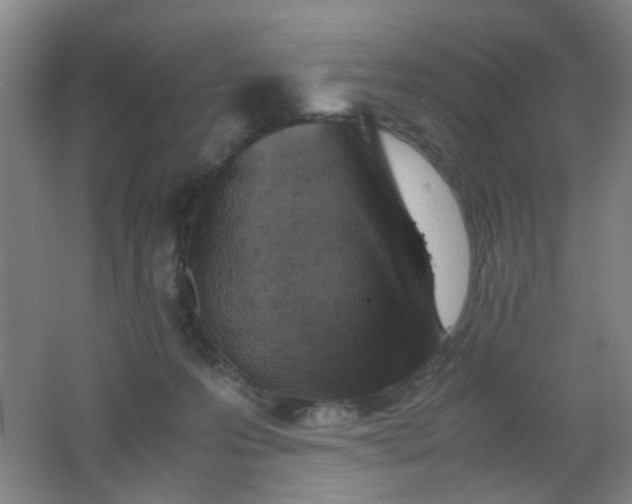 X0000062130223200512231447