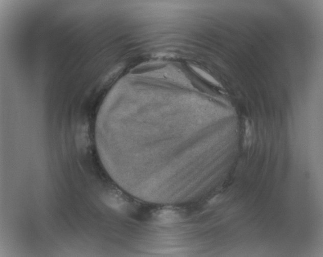 X0000062130224200512231447