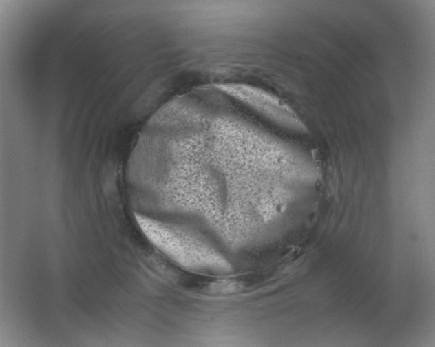 X0000062130225200512231447