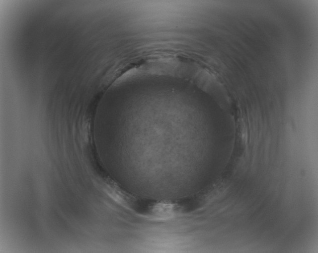 X0000062130227200512231447