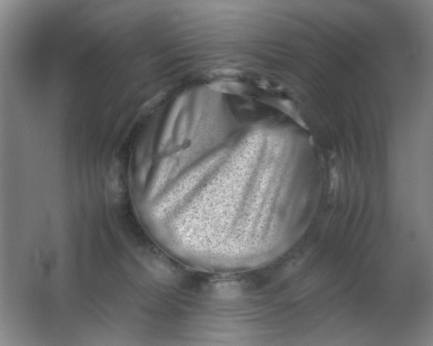 X0000062130228200512231446