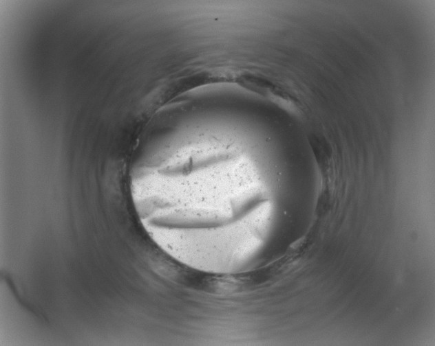 X0000062130229200512231446