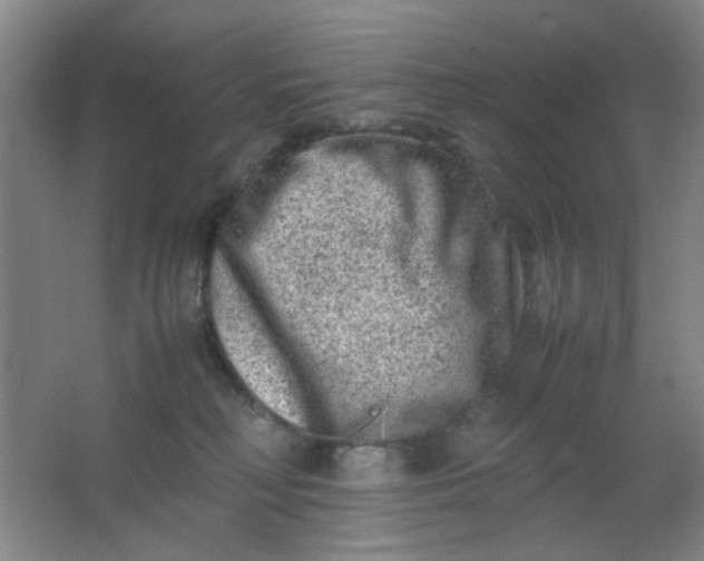 X0000062130230200512231446