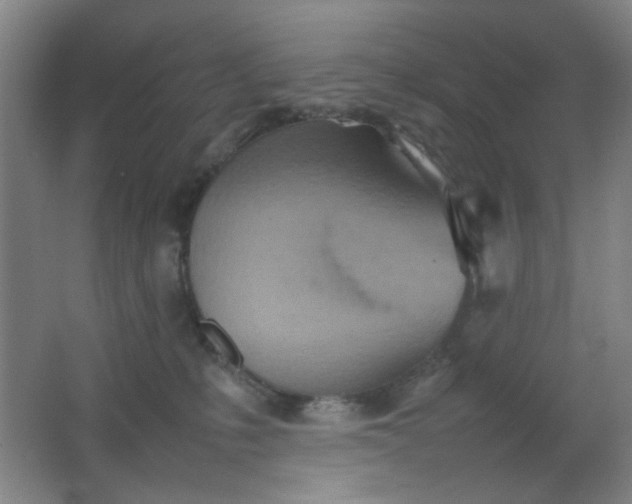 X0000062130231200512231446