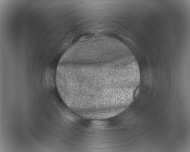 X0000062130234200512231446