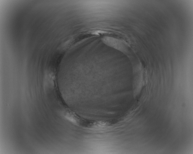 X0000062130235200512231446