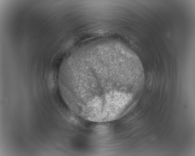 X0000062130236200512231446