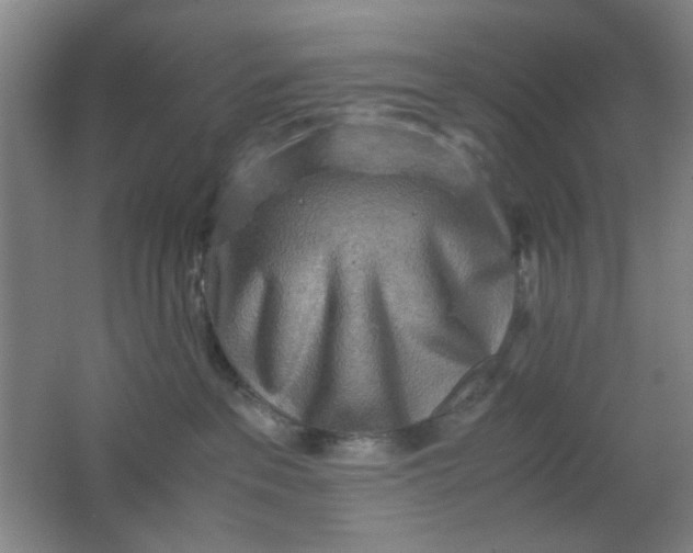 X0000062130237200512231446