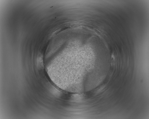 X0000062130238200512231446