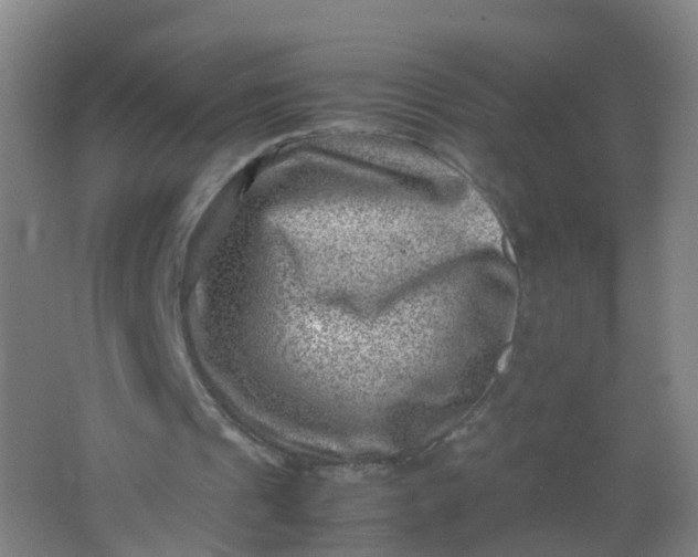 X0000062130241200512231445