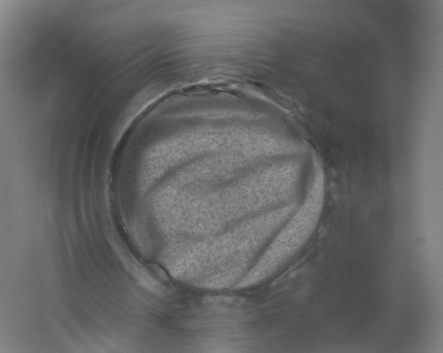 X0000062130242200512231445