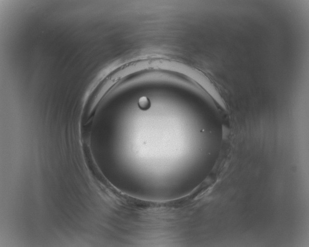 X0000062130244200512231446