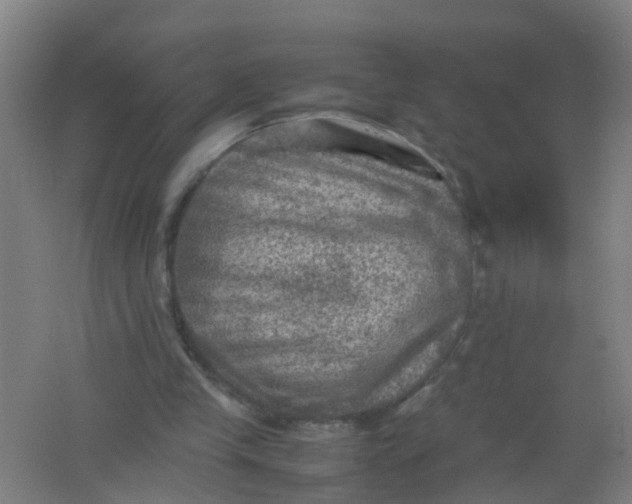 X0000062130245200512231446