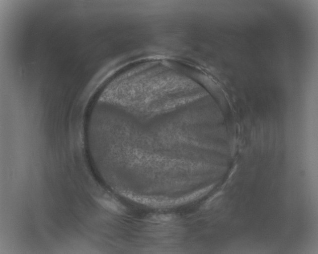 X0000062130247200512231446