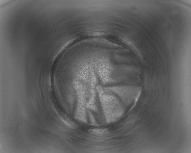 X0000062130251200512231446