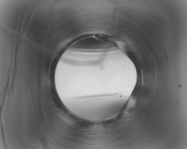 X0000062130252200512231446