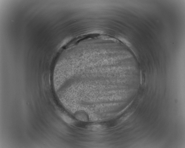 X0000062130253200512231446